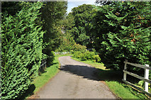 NH7734 : Entrance road to Moy Church by Steven Brown