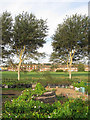 East Side Allotments