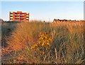 Sand dunes below North Promenade