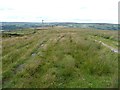 SD9824 : Multiple tracks on Erringden Moor by Humphrey Bolton
