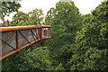 TQ1876 : The Kew Gardens Tree Top Walkway by David Lally