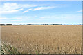 Farmland on the outskirts of Forres