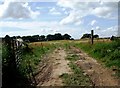 TQ6013 : Farm track west of Cowbeech, East Sussex by nick macneill