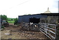 Cattle, Eastdown Farm