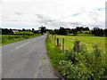 H7980 : Lough Fea Road by Kenneth  Allen