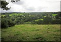 Countryside at Chapple