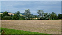 SO9635 : Flat farmland by the Carrant Brook by Jonathan Billinger
