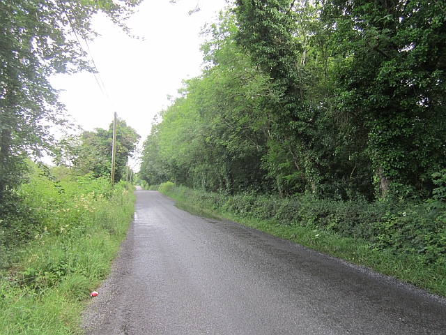 Local road, Crumlin