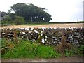 Wall near Blairbuy Farm