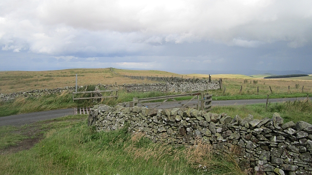 Cattle grid, Whitton