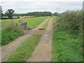 Cattle grid on the access road to Whinfield House Farm