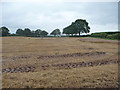 SO7024 : Partly harvested fields near Knappers Farm, Newent by Jeremy Bolwell