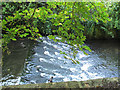 TQ2965 : Weir on the Wandle by Stephen Craven