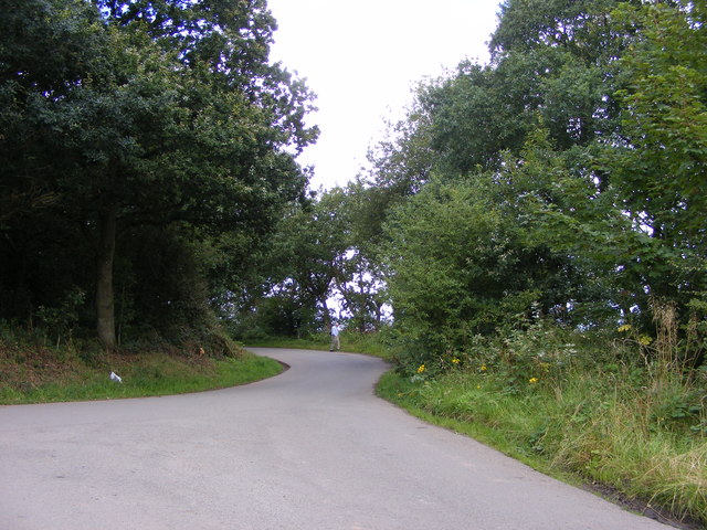 Ivy Lane Junction