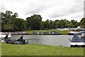 Fishing on the Thames