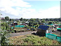 Allotments - Dewsbury Road