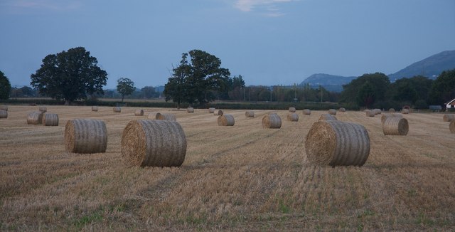 Harvest time in Trefnant
