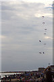 TM1714 : The RAF Falcons Parachute Display Team, Clacton, Essex by Christine Matthews