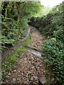 Green Lane to Northcote Hill