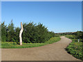 Cycle Path, Ouse Estuary Nature Reserve