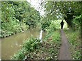 Walker by the River Rother / Chesterfield Canal