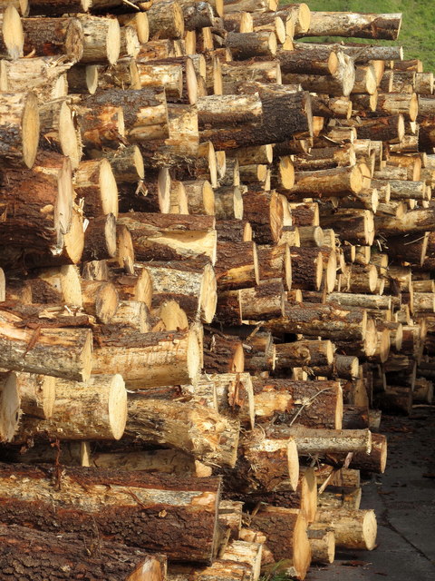 Timber stacked on the dockside at Scrabster