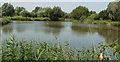 Summer Lane Pond, Locking Castle