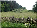 Tumulus near Oxwold House