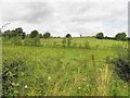 H6823 : Dromore Townland by Kenneth  Allen