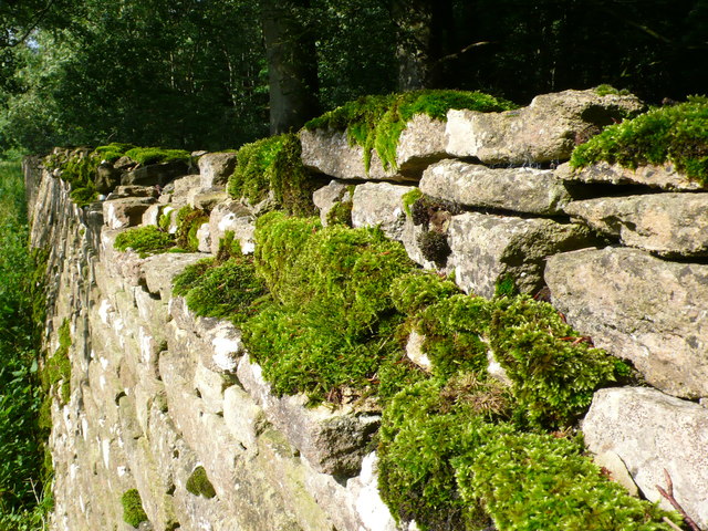 Dry Stone Wall, Barnsley Park © Nigel Mykura :: Geograph Britain and ...