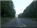 A339 looking south