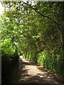 Road past Widworthy Park