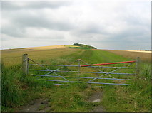 SU0460 : The bridleway to the top of Etchilhampton Hill by Simon Mortimer