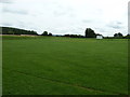 SO6441 : Cricket ground near Ashperton by Dave Spicer