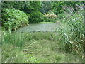 Sandell Lake, Broadview Gardens, Hadlow College