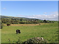 Farmland at Balcamie