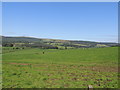 Farmland at Whitehill