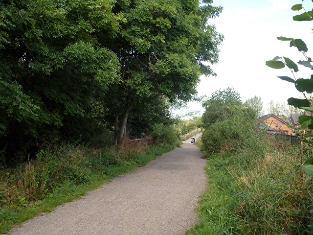 Trans Pennine Trail near Killamarsh