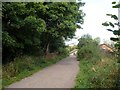 Trans Pennine Trail near Killamarsh