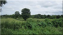 N4471 : Farmland near Castlepollard by Richard Webb