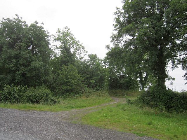 A farm road, Sallymount