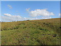 Moorland on Barony Hill