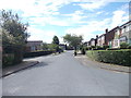 Meadowbank Avenue - viewed from Aynsley Grove