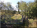 Barony Hill Trail at Glengee Wood