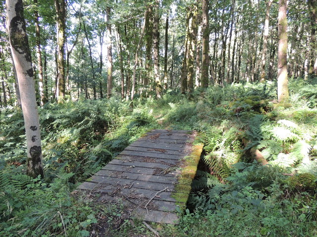 Barony Hill Trail in Falfarrocher Glen