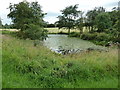 Pond by the path to the White House