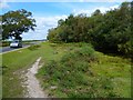 The Solent Way (116)