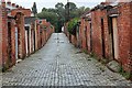 Back Lane (looking north), Hope Town, Darlington