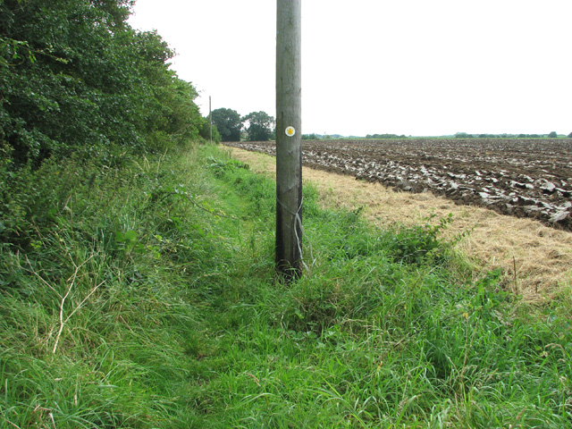 Footpath marker on telegraph pole, Watlington