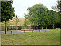 Traffic calming roundabout, Shaw Drive